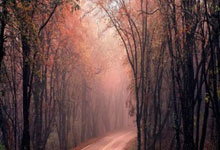 中超身价飙升：资本逐浪，谁主沉浮？